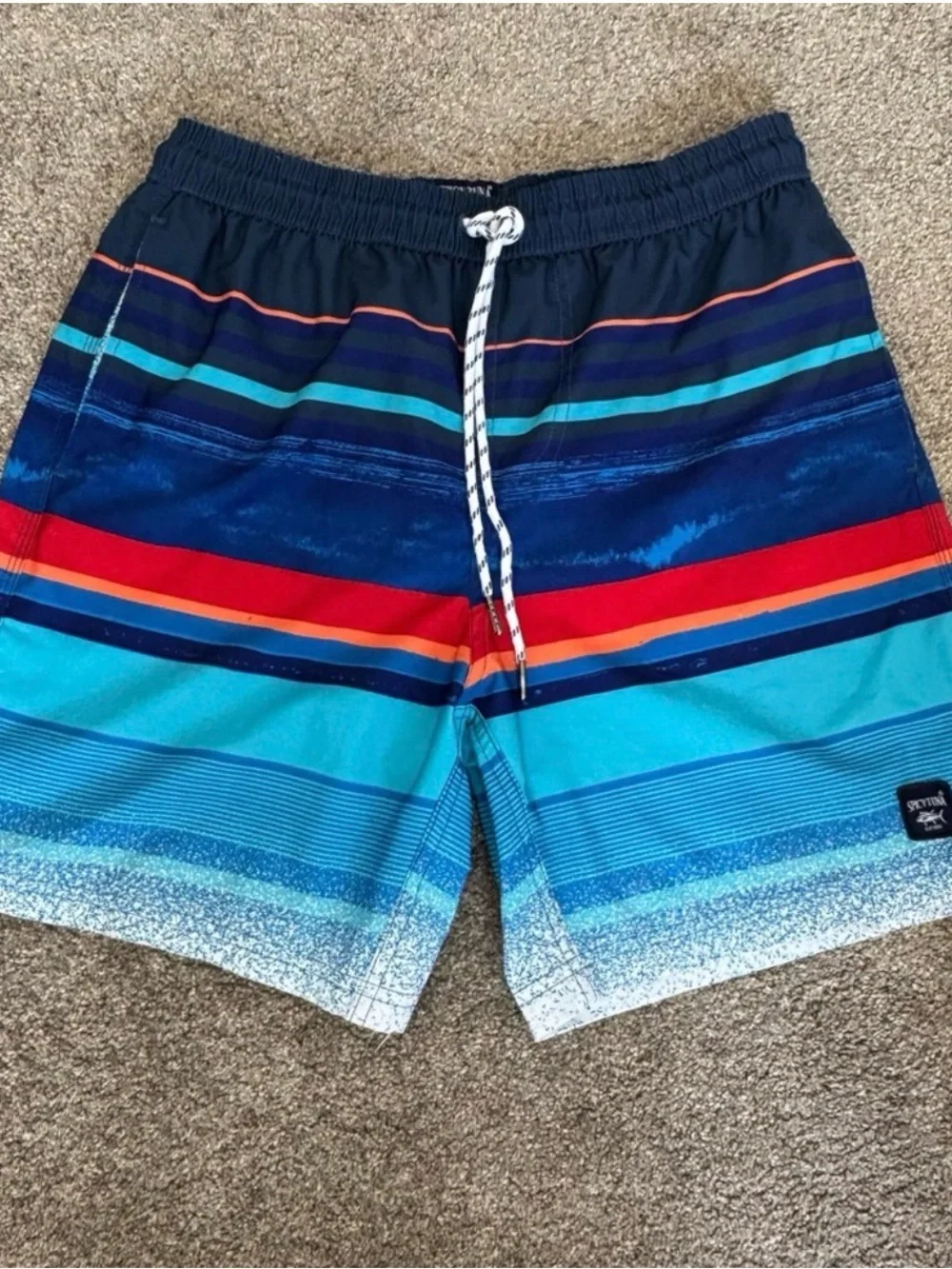 Spicy Tuna Men’s Swim Trunks Small Blue Multicolor Striped Board Shorts